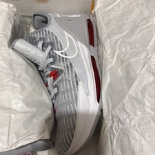 Nike LeBron Witness 6 Pure Platinum for Sale | Authenticity