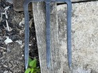 Bild 5 von 10