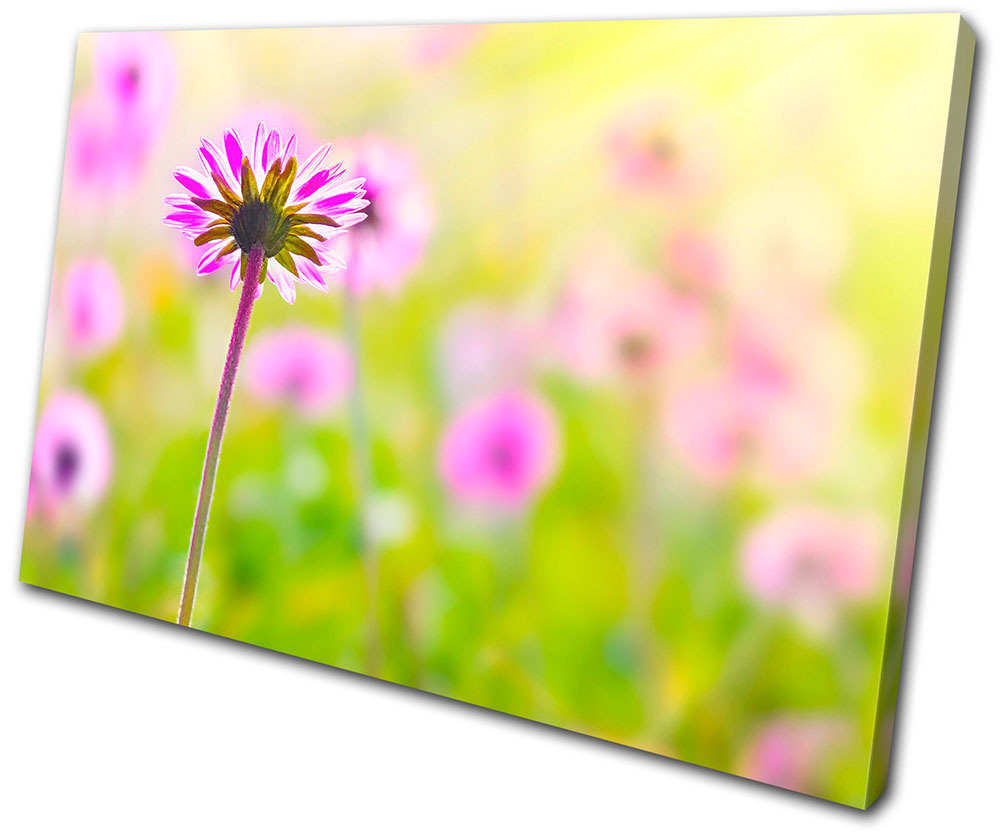 Floral Flowers BOTANICAL SINGLE CANVAS WALL ART Picture Print VA