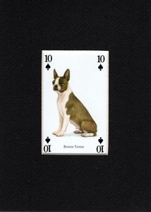 Dog Playing Cards (Set of 2) - CUSTOM MATTED 5 x 7 - Collectible Dog Art Print