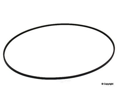 Serpentine Belt WD Express 676 54042 259