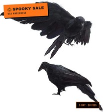 2-Pack Realistic Crows Lifesize Extra Large Handmade Black Feathered Crow for Ha