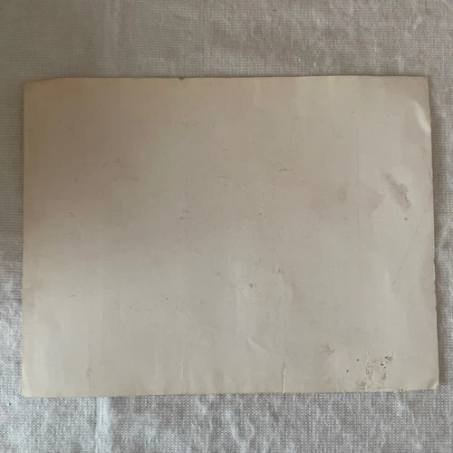 Silver Glavcot Print - Supplement Fur & Feather Rabbits Rabbit Keeping Magazine - Picture 3 of 4