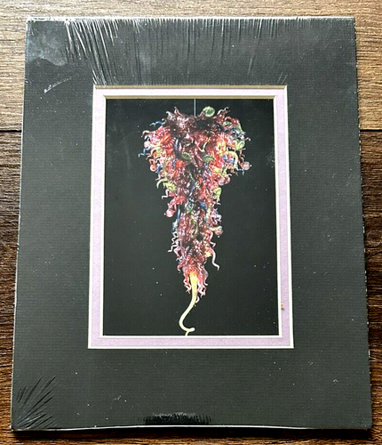 Dale Chihuly Glass Art Multicolor Wine Chandelier 8" x 10" Double Matted Print