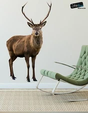 Wildlife Nature Deer Wall Decal Sticker. Posing and Staring. Large Horn Buck wit