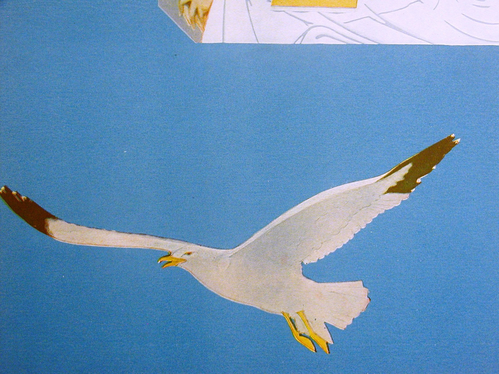 Picture 10 of 10