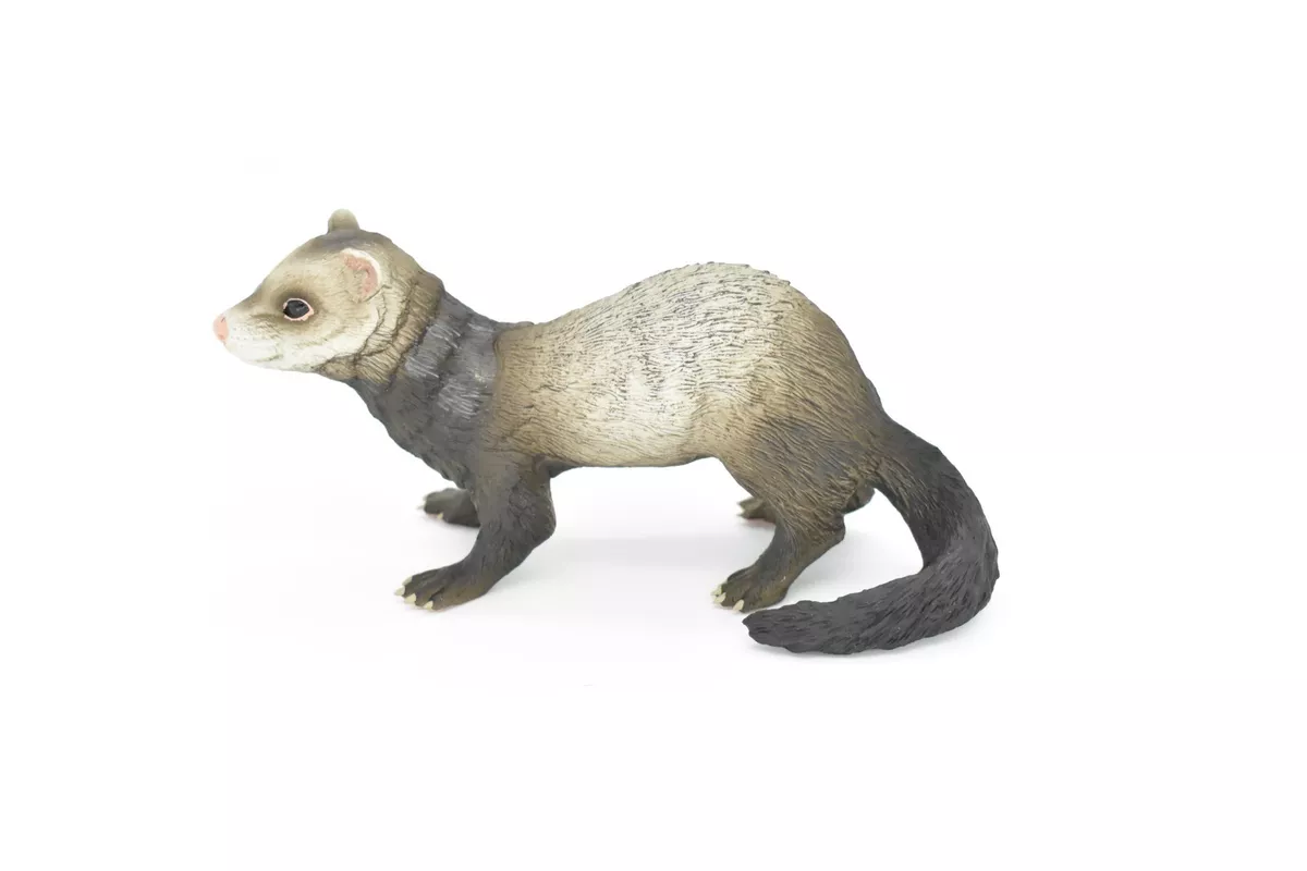 Ferret toy hotsell