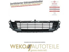 Lüftungsgitter, Stoßfänger unten DIEDERICHS 4073045 für CITROËN