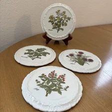 Andrea by Sadek Botanical Herb Plate Trivet Set of 4 Basil Chives Sage Rosemary