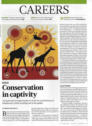 Nature Magazine Cheetah Hunting Regenerative Medicine Optical Physics 2013 . - Picture 5 of 6