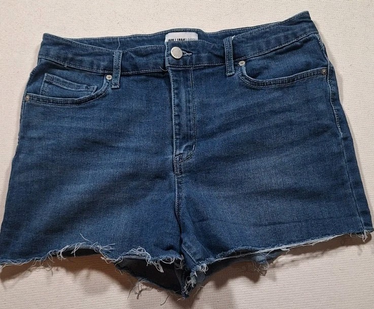 William Rast Juniors Size 31 Dark Wash Distressed Denim Highrise Shorts
