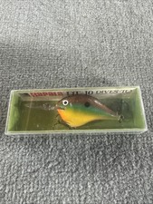 Rare Collectible Rapala DT 10 In Special Run Color Crankbait Fishing Lure