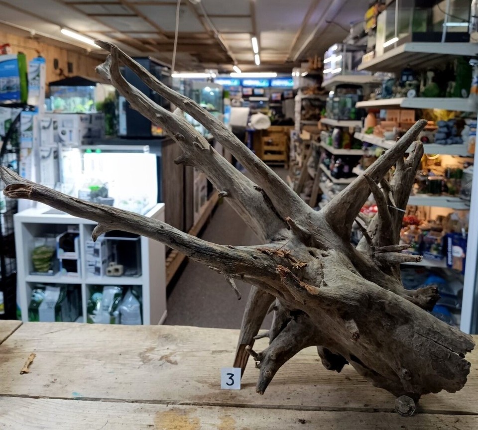 Large Corbo Root Aquarium Bogwood Vivarium Root Driftwood Catfish Cave