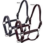 Western Havana Or Black Leather Padded Halter with clear crystal embedded