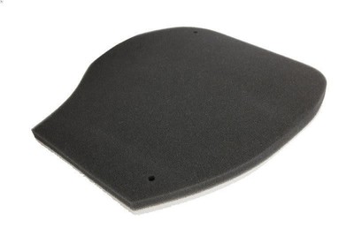 Air Filter ATHENA S410485200048