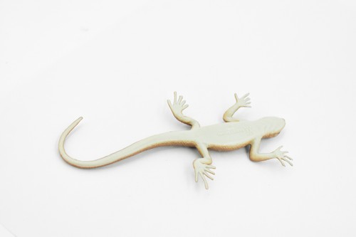 Desert Iguana, Lizard, Toy, Realistic, Figurine, Model   5" F6101 B381 - Picture 8 of 8