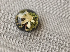 Lucite Enclosed Flower Paperweight- from 1990s