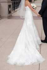 Spring 2014 Pronovias Wedding Dress