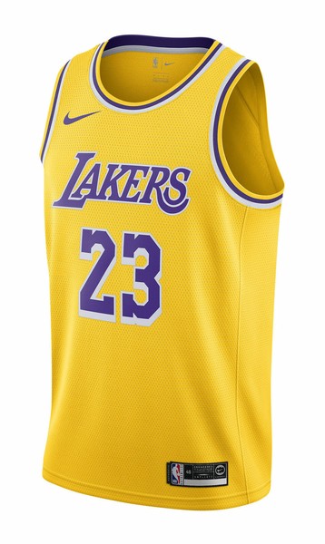 lebron james icon edition swingman jersey