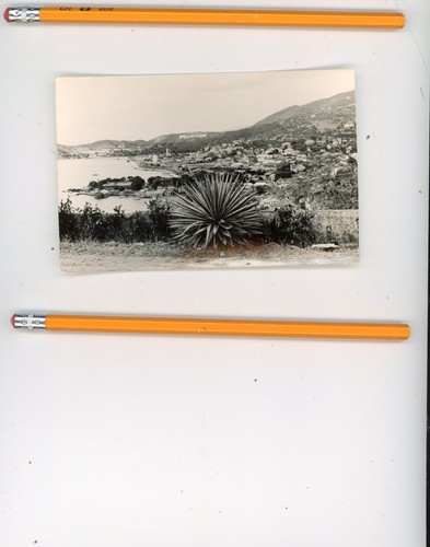 old St Thomas Virgin Islands photo postcard, b