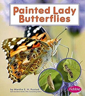 Painted Lady Butterflies Library Binding Martha E. H. Rustad