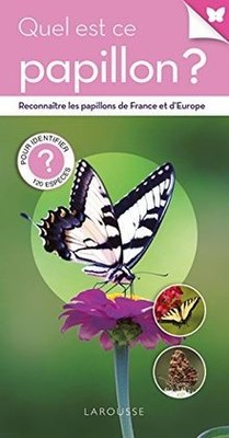 Quel est ce papillon ? von Jackson, Tom | Buch | Zustand sehr gut