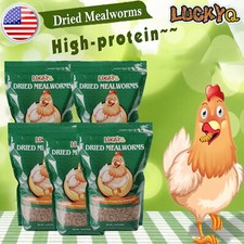 Bulk Dried Mealworms 100 Non-GMO Dried High-Protein Fit Birds Chickens Fish