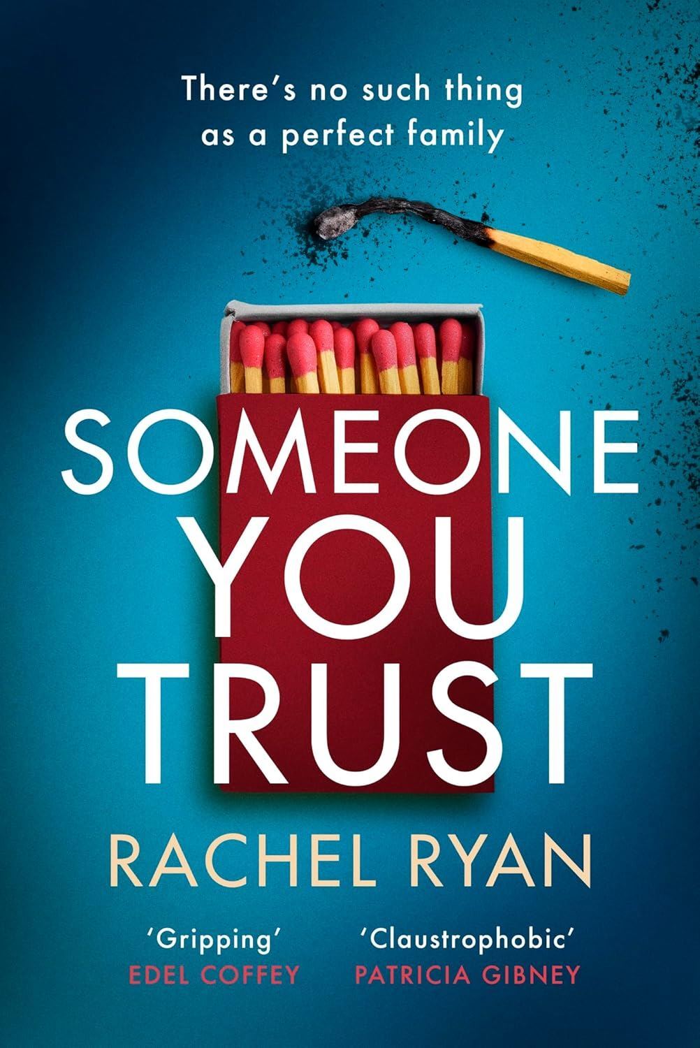 Someone You Trust: A gripping, emotional thriller with a jaw-dropping twist
