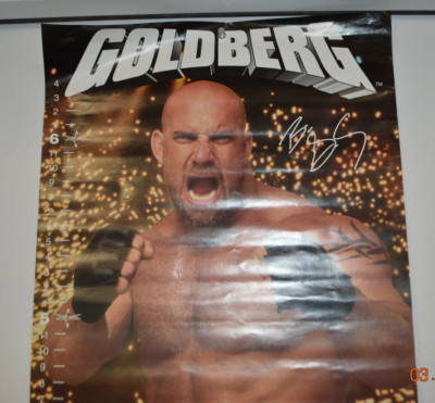 Goldberg Wrestler WCW Wrestling Lifesize Door Poster 1999 Rare
