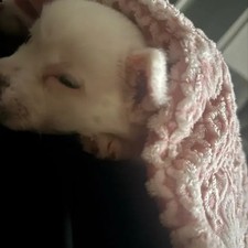 Disney Sea 2/27 Ticket Unused