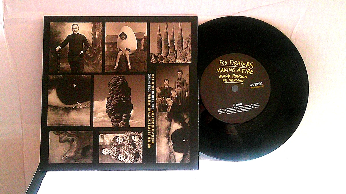Foo Fighters 7