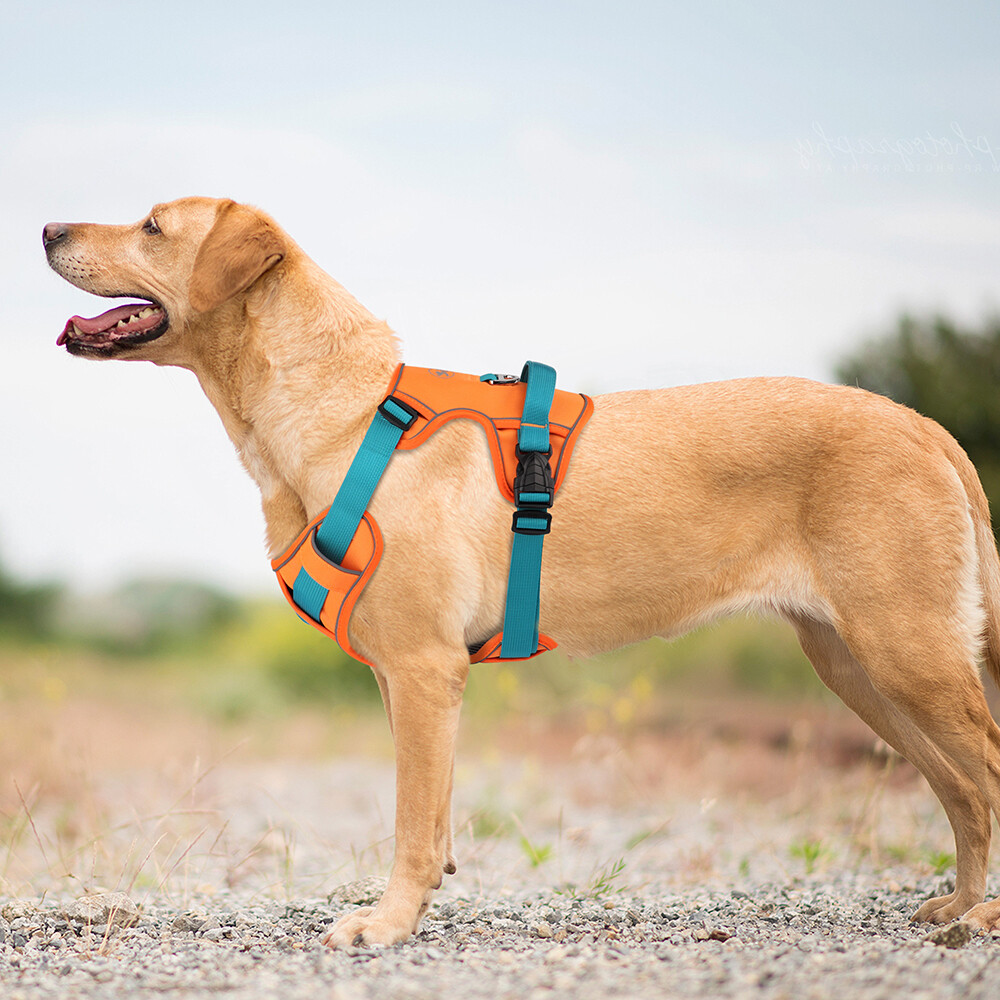 Dog Handler Dog Walking Vest Hi Vis Reflective Dog Vest DO NOT
