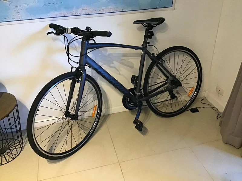 merida speeder 10 2019