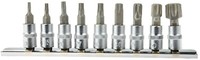 "SteckschlüSselsatz Innen Torx Nuss 9-Tlg 1/4\" 3/8\" NüSse TorxschlüSsel T10-T60"