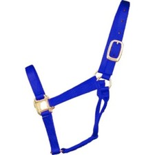 Hamilton Horse Halter 3-5 Yearling 1 In Blue 1" Wide