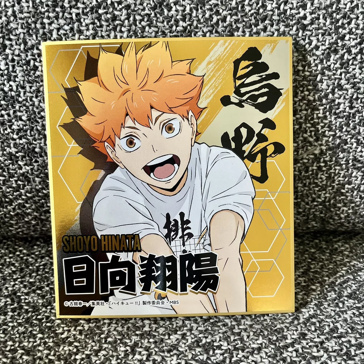 Bokuto Akaashi Haikyuu!! Exclusive Anime Manga Japan Comics