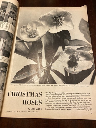 Canadian Homes and Gardens - Christmas issue - December 1954 - Picture 6 of 10