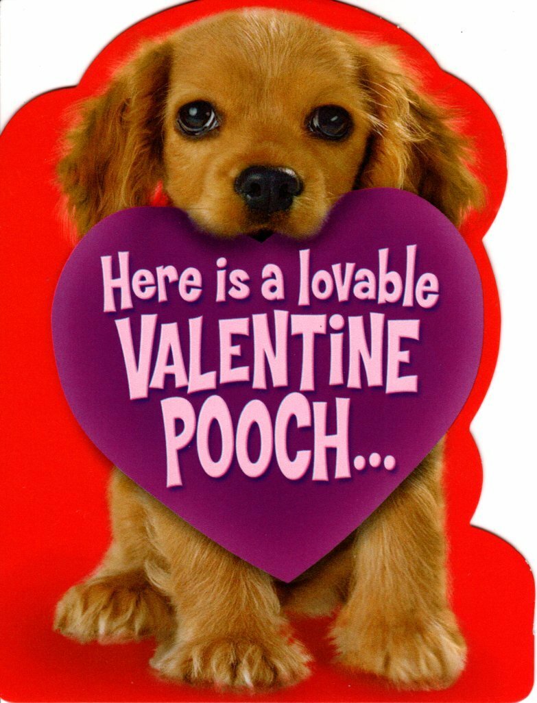 Golden Retriever Puppy Valentine's Day Cards Valentine Pooch Set