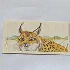 Foto 12 di 109