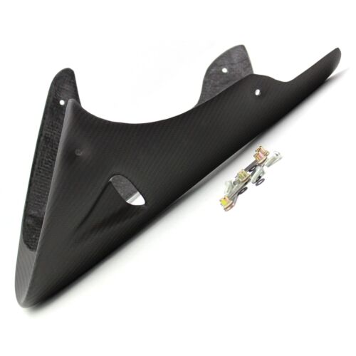 Carbon bug spoiler for Ducati Monster S2 S4 RS 916 996 998 and much more with mounts - Picture 1 of 10