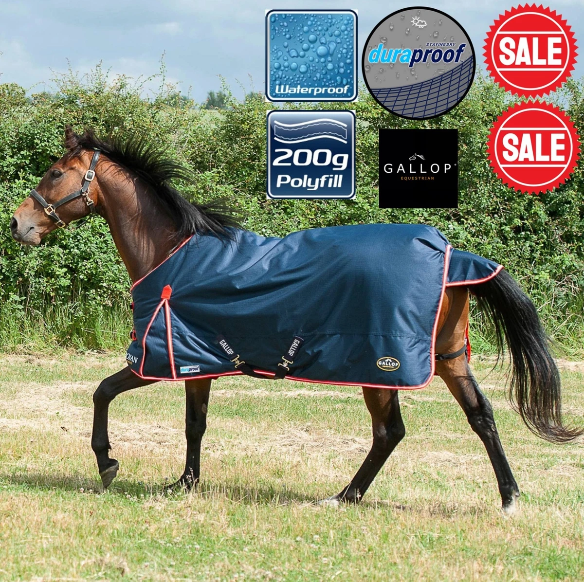 SPECIAL OFFERS Gallop Sweet Treats Lightweight Standard Neck Turnout Rug 36