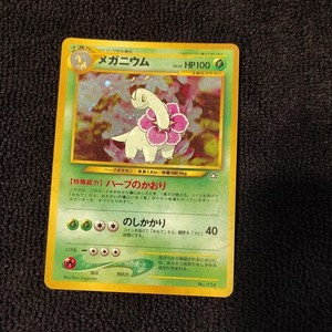 Japanese Meganium | eBay