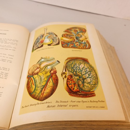 Library of Health Twenty Books In One Volume 1931 - Imagen 6 de 12