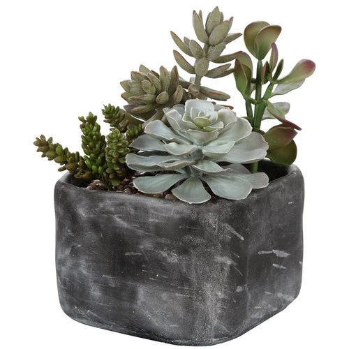 Alverio  - 10 inch Desert Garden Succulents Accessories Uttermost 60173 - Picture 7 of 8