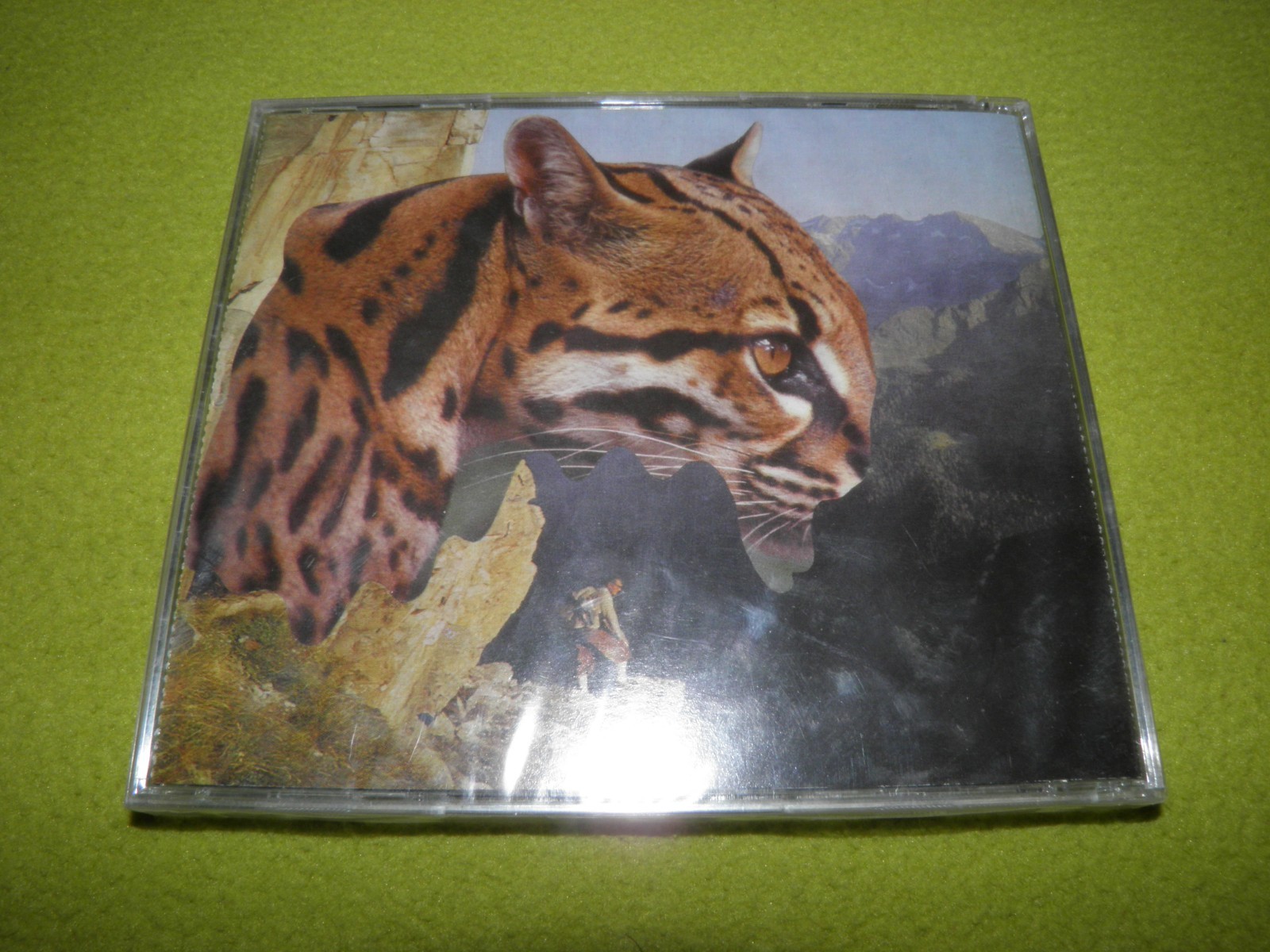 Picture 2 of 2
