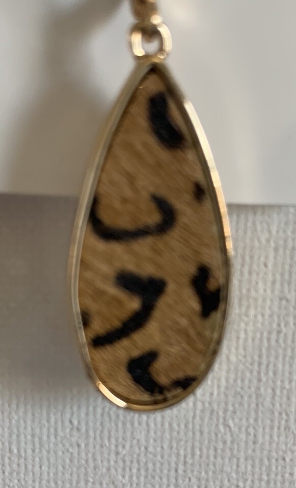 Picture 3 of 6