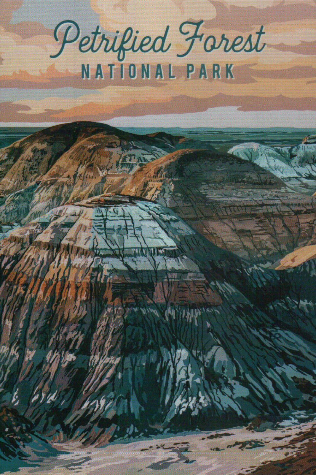 Petrified Forest National Park Arizona, 30th NP Est. 1962 AZ --- Modern Postcard