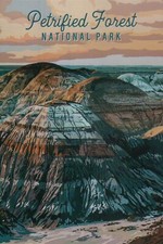 Petrified Forest National Park Arizona, 30th NP Est. 1962 AZ --- Modern Postcard
