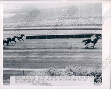 1951 Belmont Race Track HOF Jockey Eddie Arcaro Win on Whitsuntide Press Photo