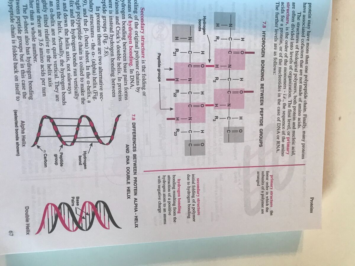 MOLECULAR BIOLOGY Made Simple and Fun ~ 4th Edition ~ David MOLECULAR BIOLOGY Made Simple and Fun ~ 4th Edition ~ David